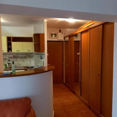 Apartment Petruta *
